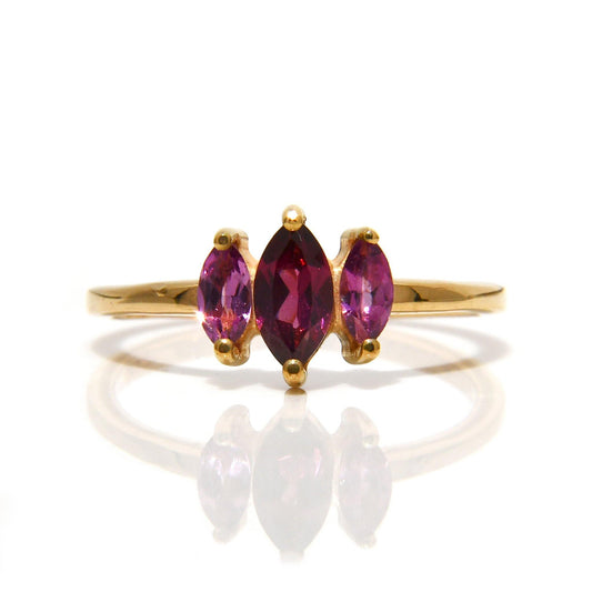 Anillo Selendis Amatistas y Rodolita / Mes de Febrero - ALENNA JEWELS