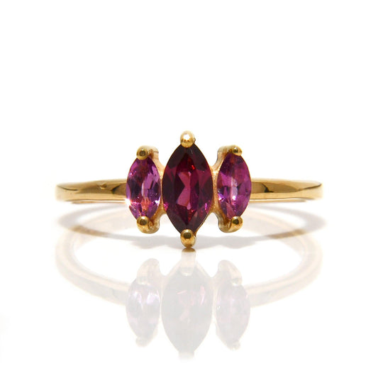 Anillo Amatistas y Rodolita / Mes de Febrero - ALENNA JEWELS